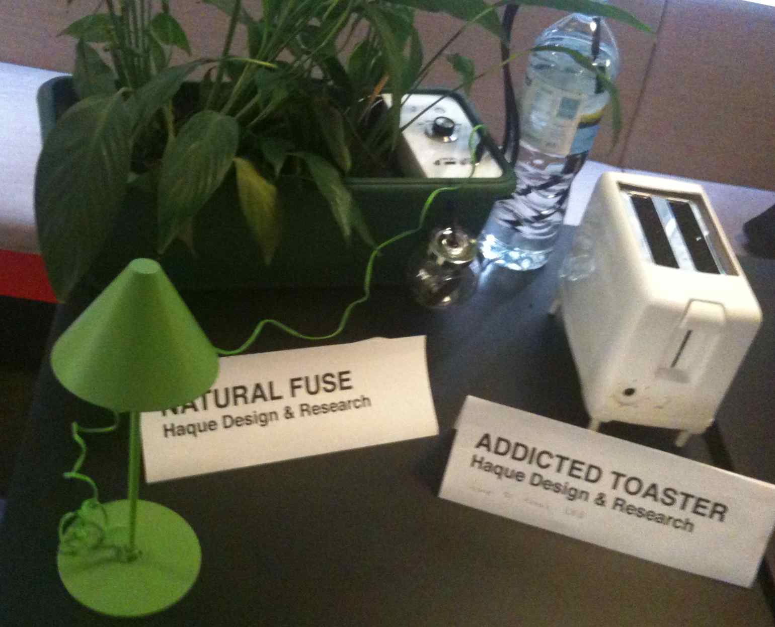 Natural Fuse & Addicted Toaster